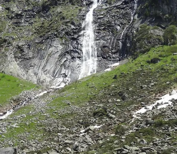 دوريس ابارتمنتس *